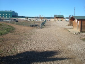 Residencia canina De adiestramiento