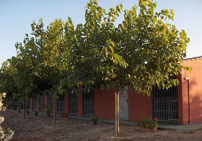Residencia canina Mallorcan