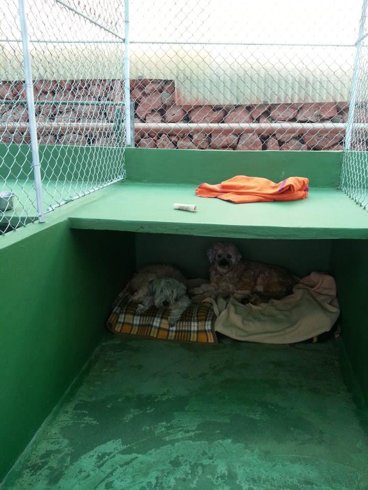 Foto de Tagoro