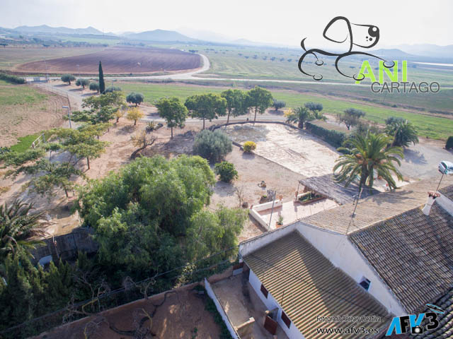 Residencia canina Anicartago