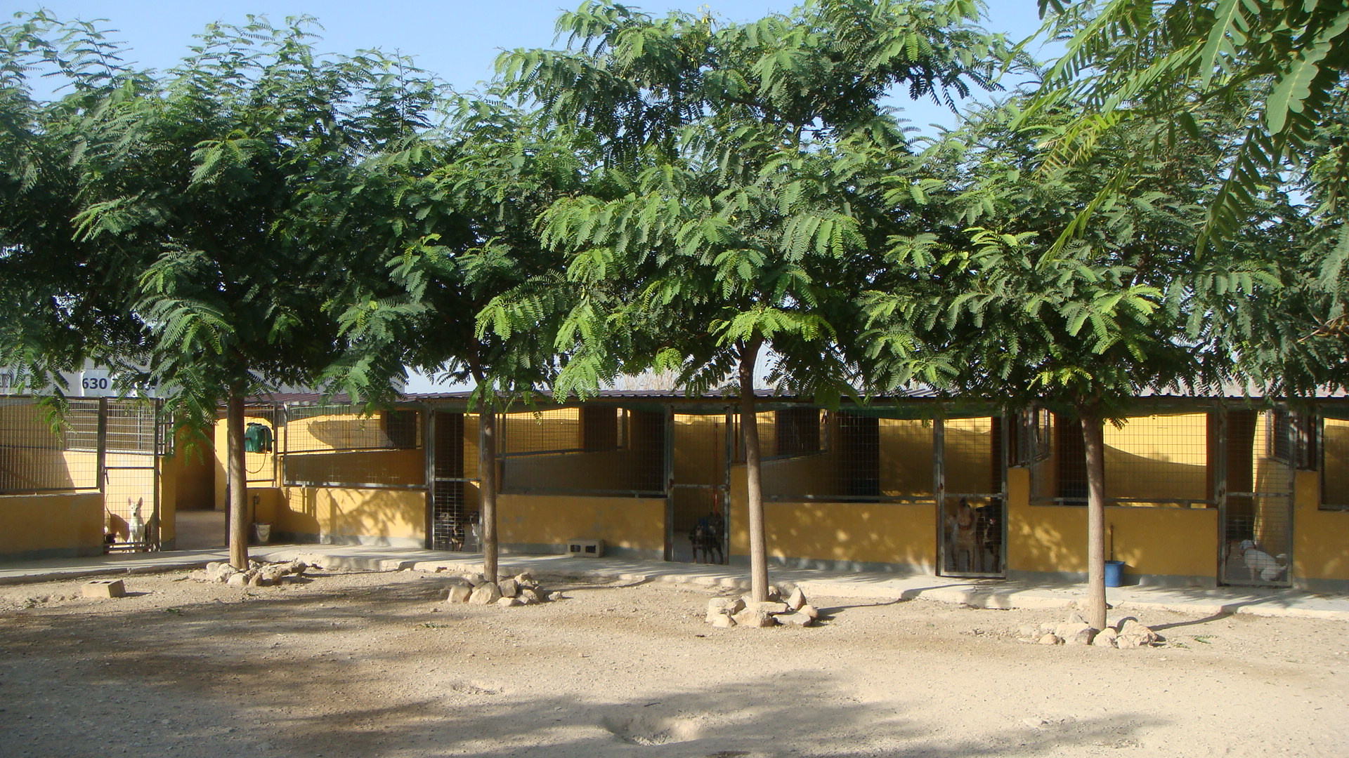 Residencia canina Zoo park