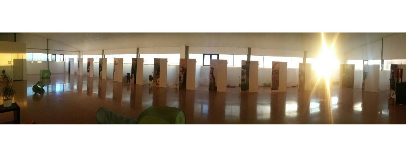 Foto de Dog village