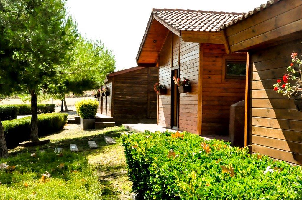Residencia canina Carpe diem