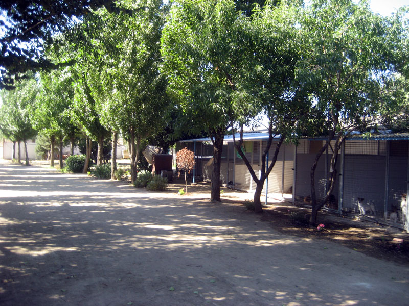 Residencia canina Decasla