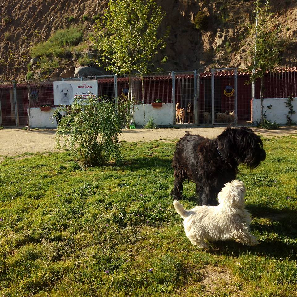 Residencia canina Cridorcan
