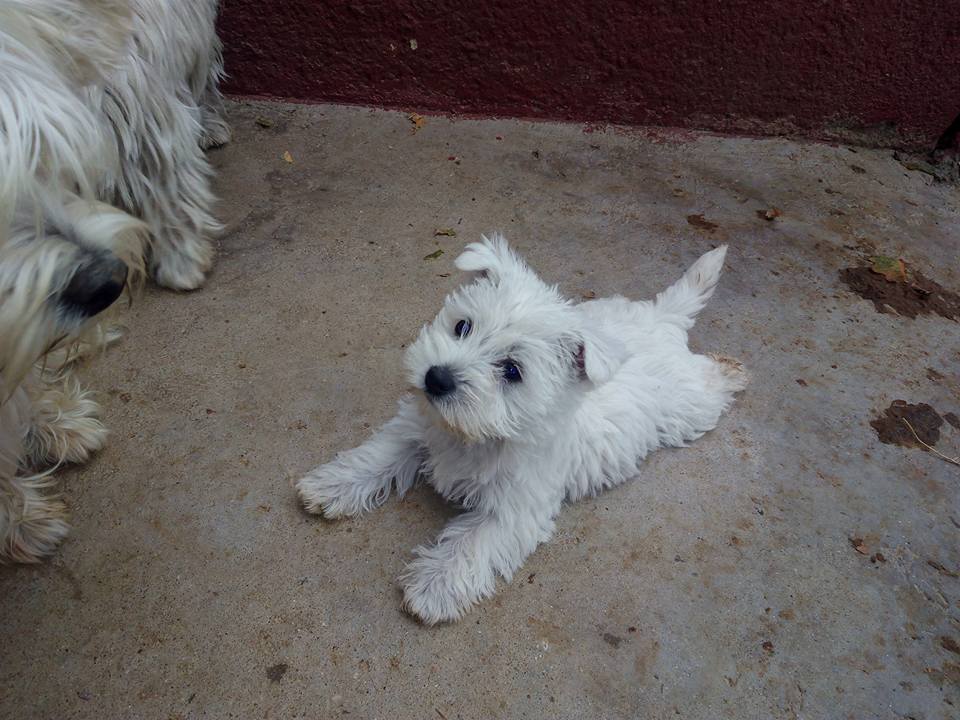 Foto de Cridorcan