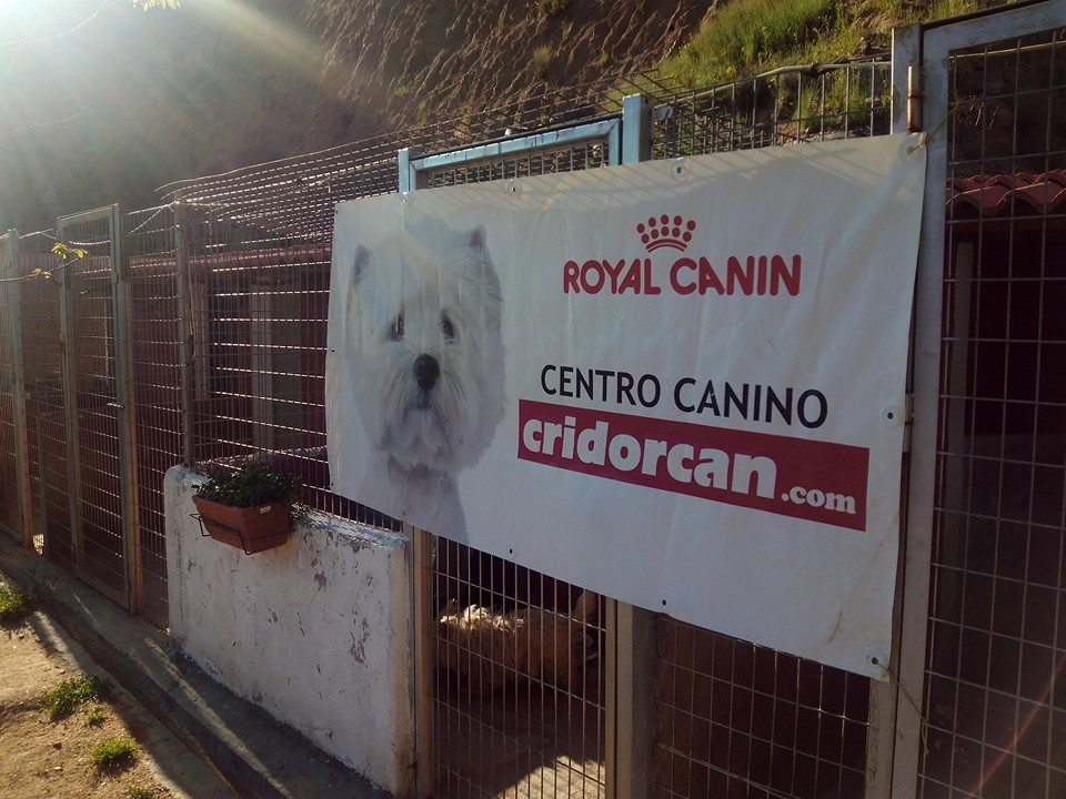 Foto de Cridorcan
