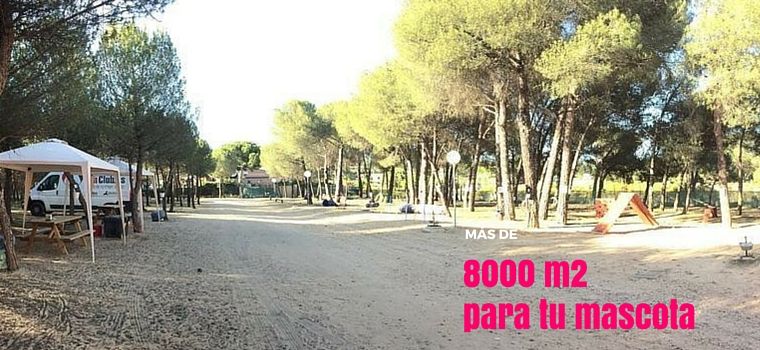 Residencia canina y felina Los valles