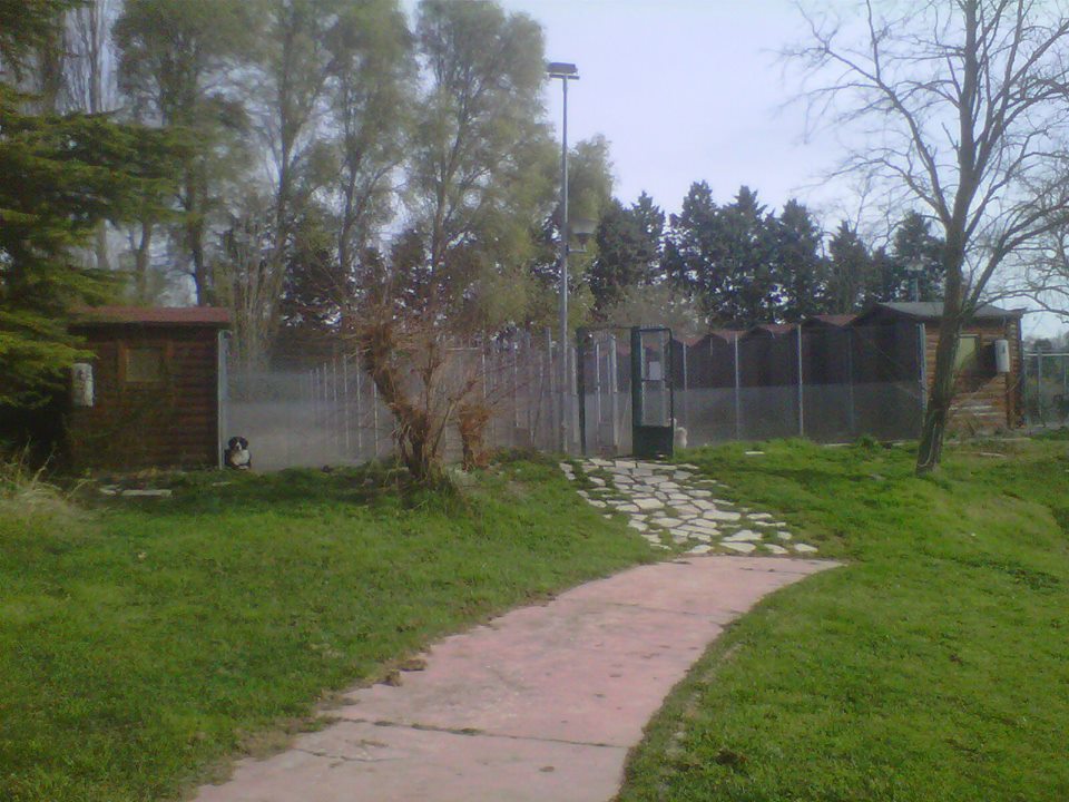 Residencia canina Fuentes blancas
