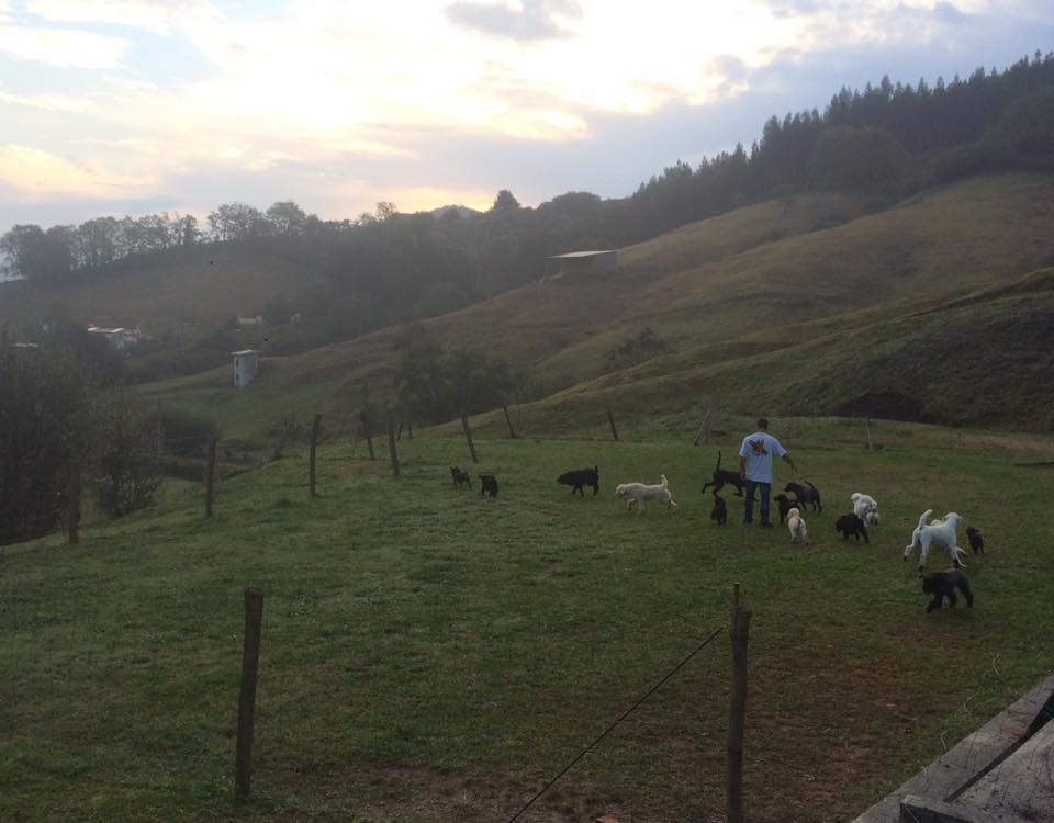 Foto de Besaya