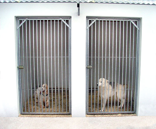 Foto de Besaya