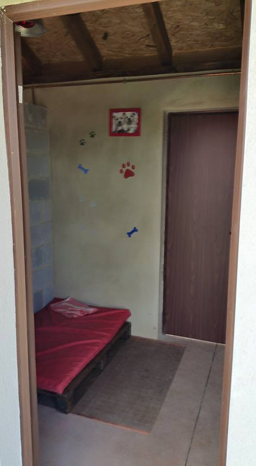 Residencia canina Ovi can