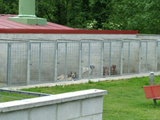 Residencia canina Brañavalera