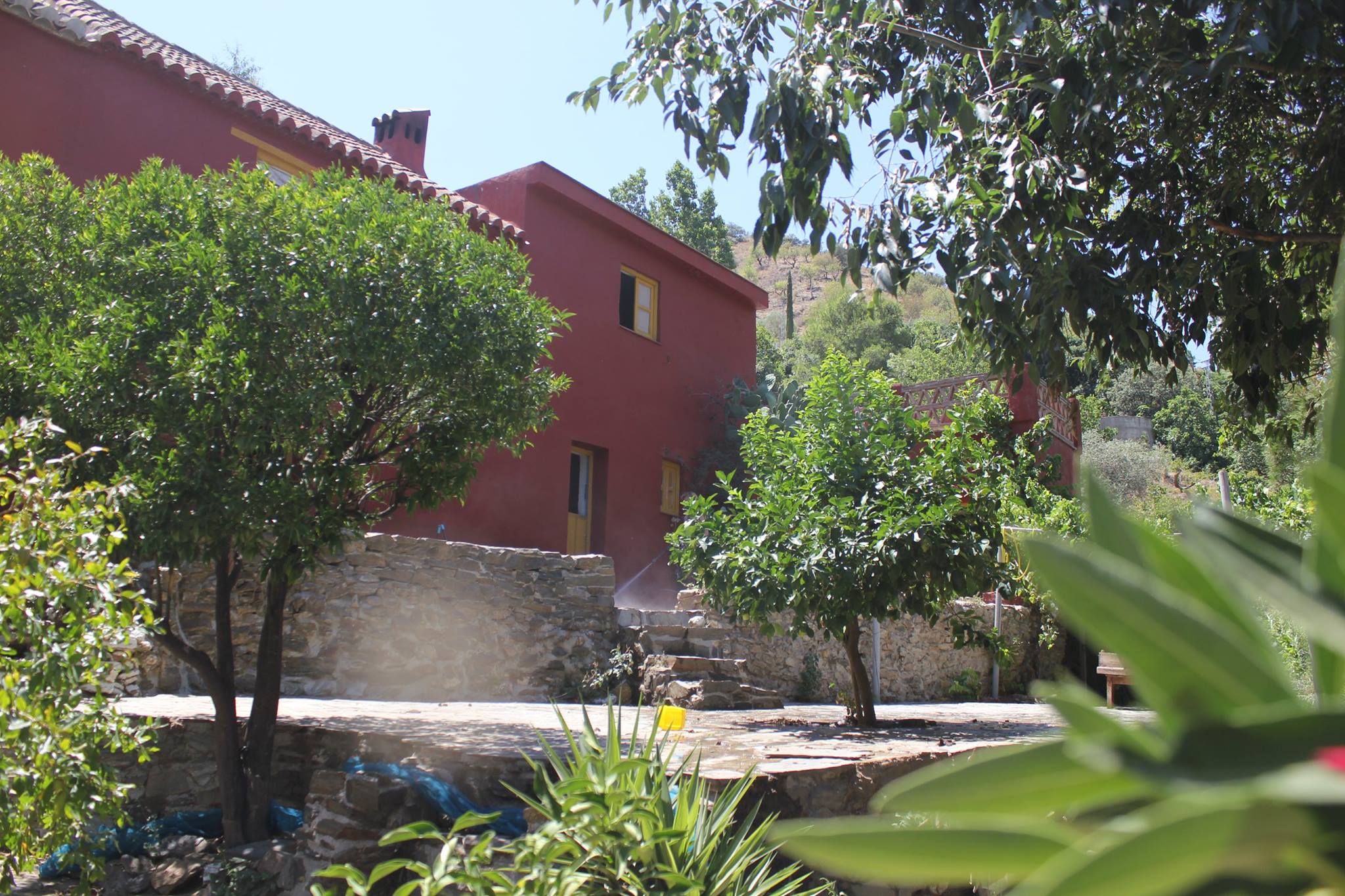 Residencia canina y felina Perros si