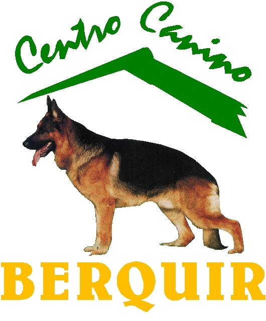 Residencia canina y felina Berquir