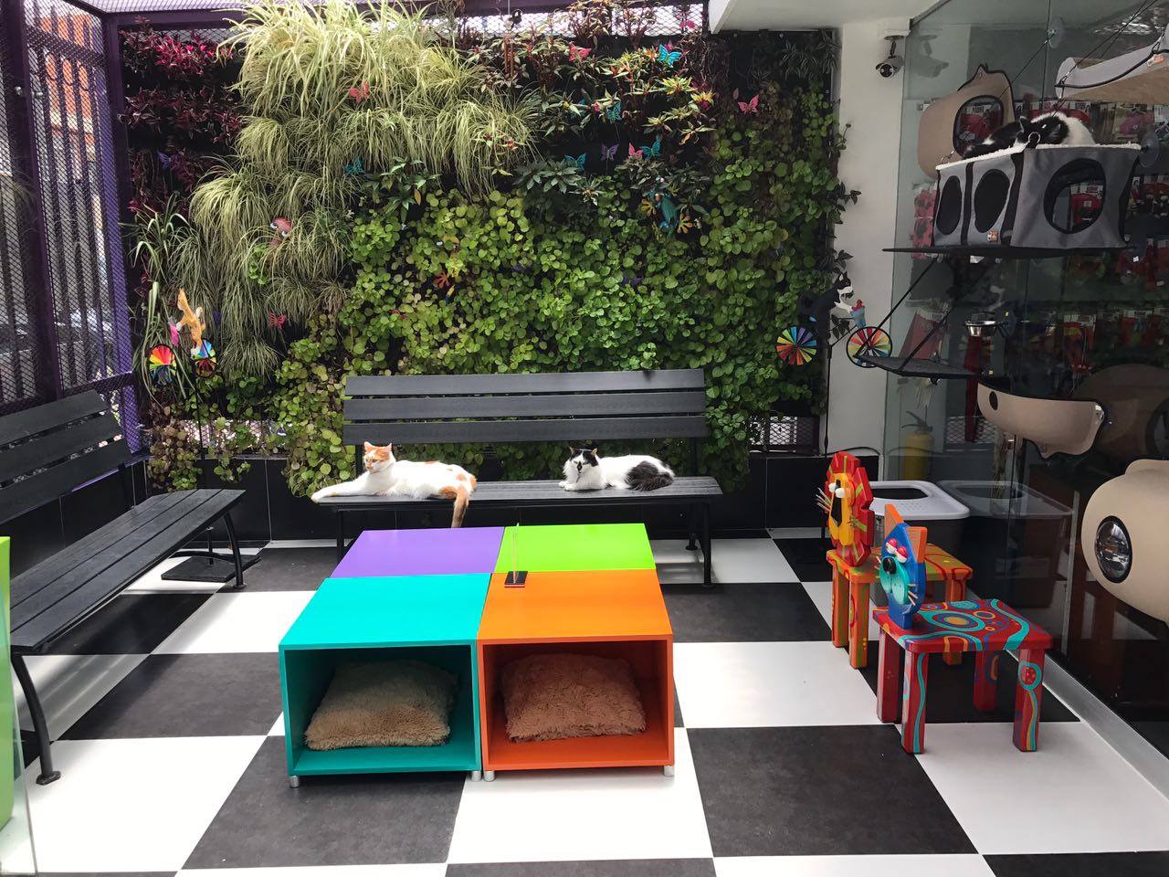 Hotel para gatos Michos Toys