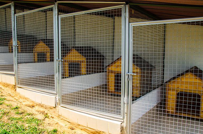 Hotel para perros Ruitoque Club Canino