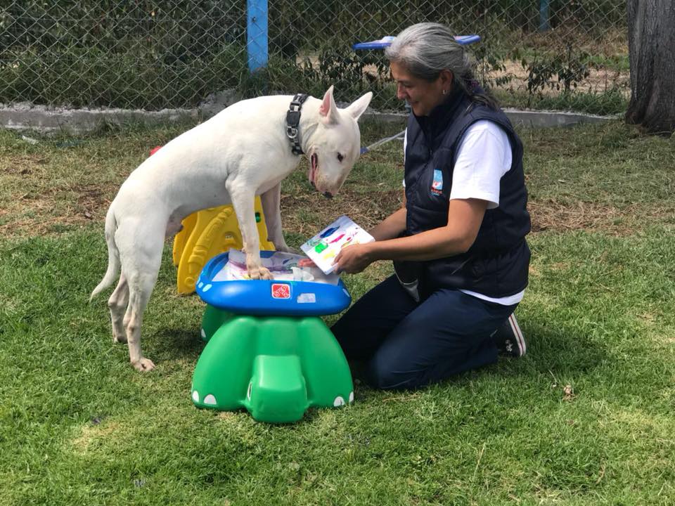 Foto de El Parche Canino
