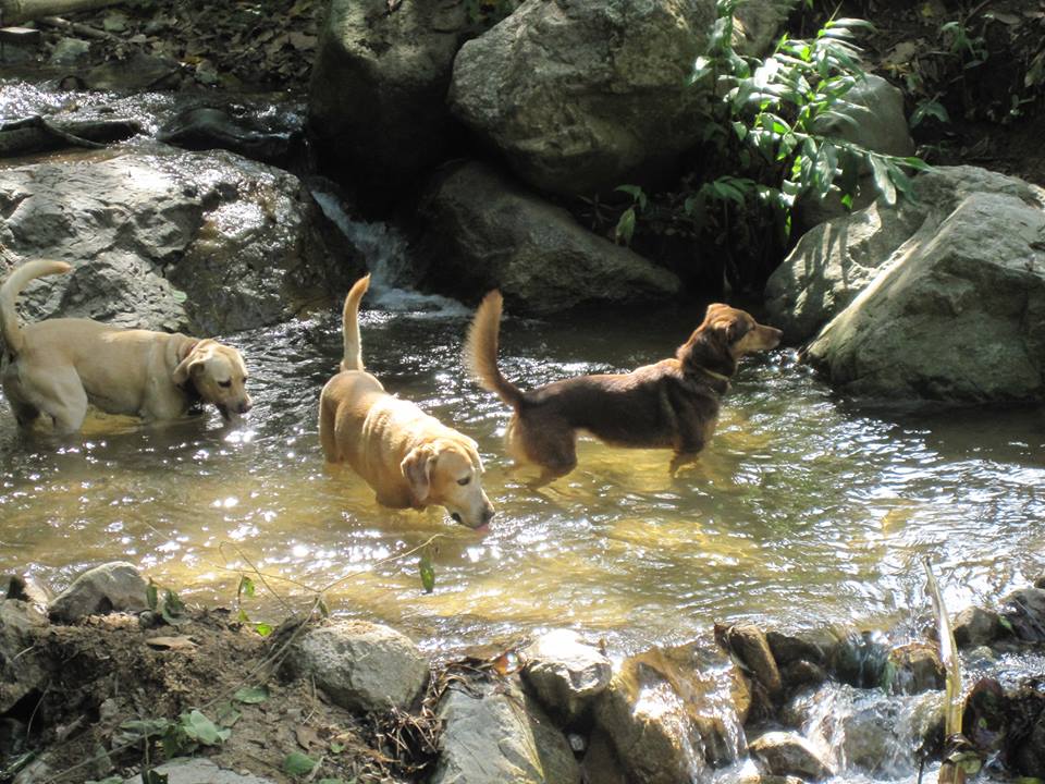 Foto de Guardería Campestre La Martinica