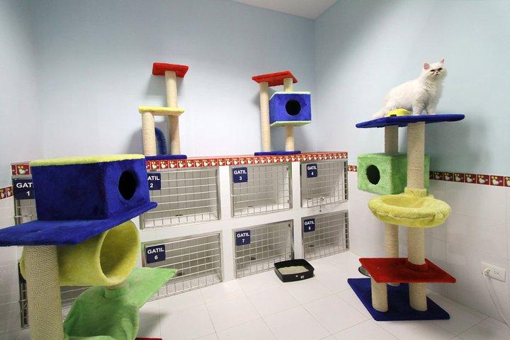 Hotel para perros y gatos Super Mascotas