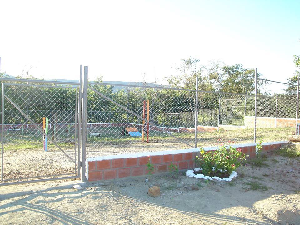 Hotel para perros Golden Fortress CO