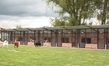Hotel para perros Doggy House