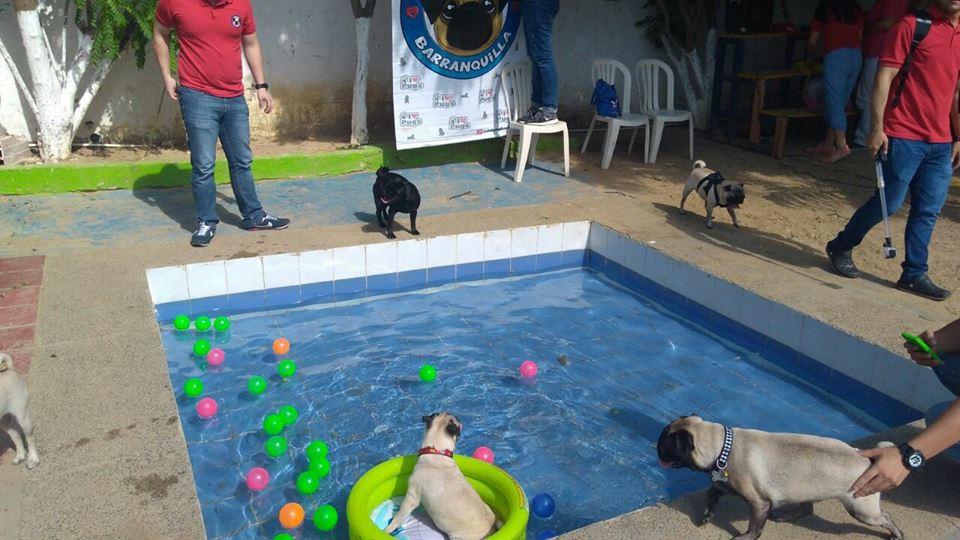Hotel para perros Prados Caninos