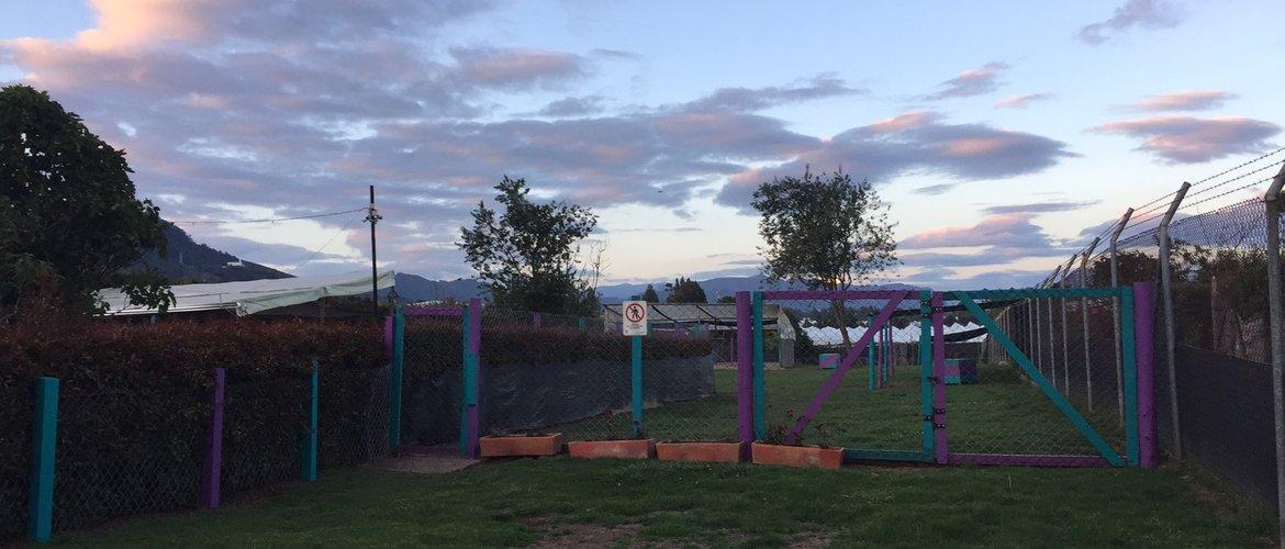 Hotel para perros Mi Refugio Canino