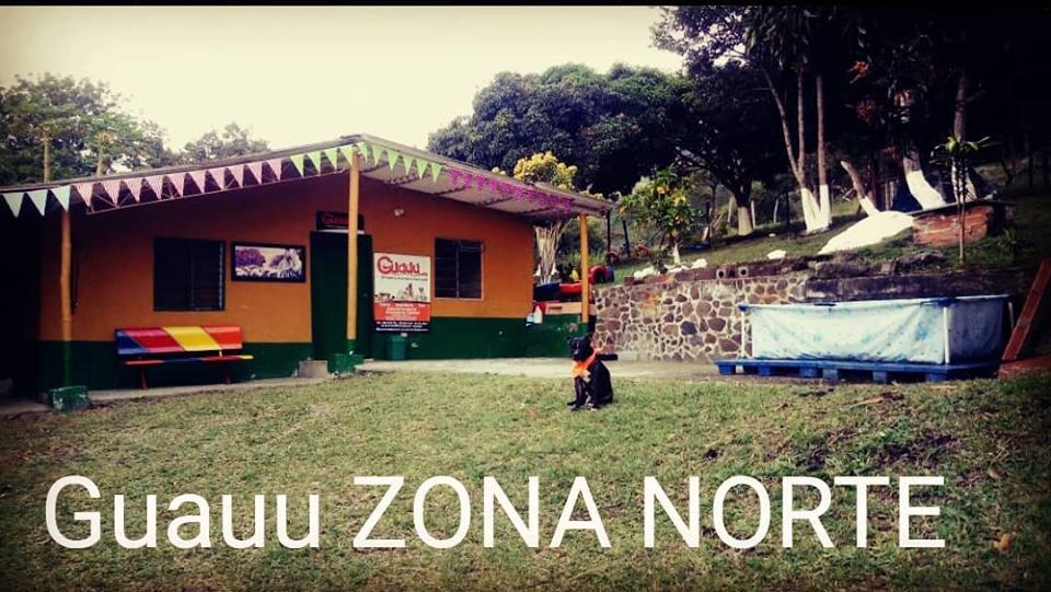 Hotel para perros Guauu