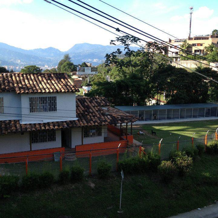 Hotel para perros Mascot City