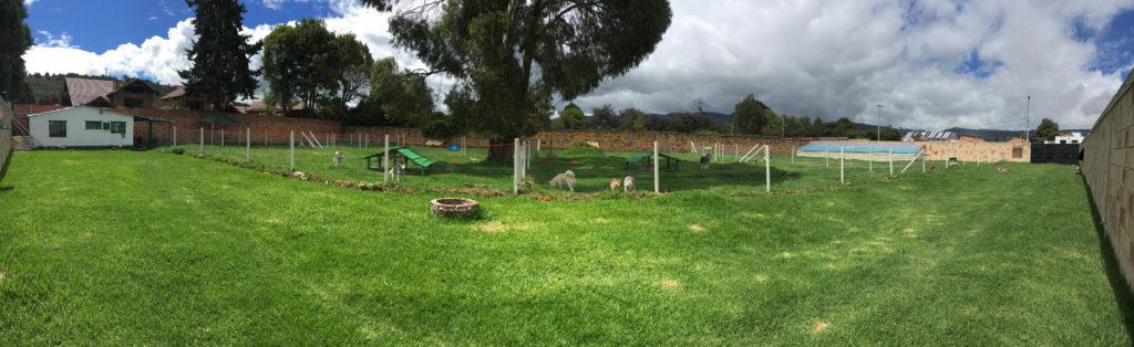 Hotel para perros En Manada