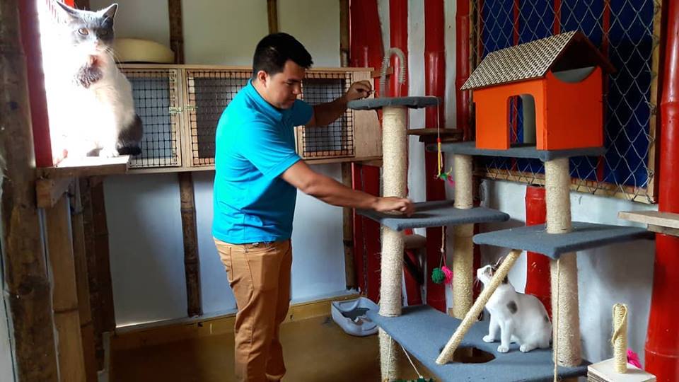 Hotel para perros y gatos San Martín de Porres