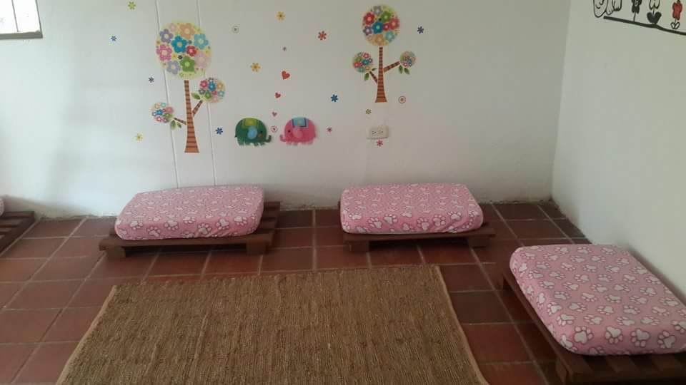 Hotel para perros Pet House