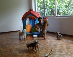Hotel para perros Pet Central