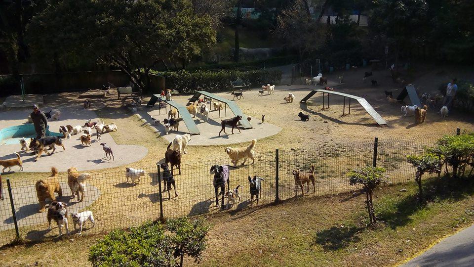 Foto de Nuugi Resort Lomas Country Club