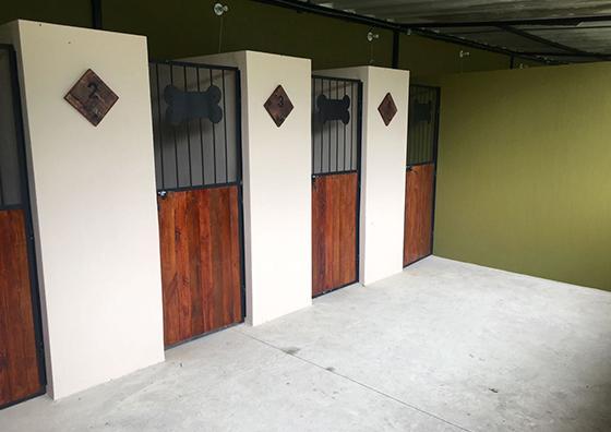Hotel para perros Pet Camp