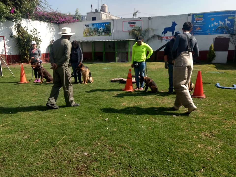 Hotel para perros Club Ring del Norte