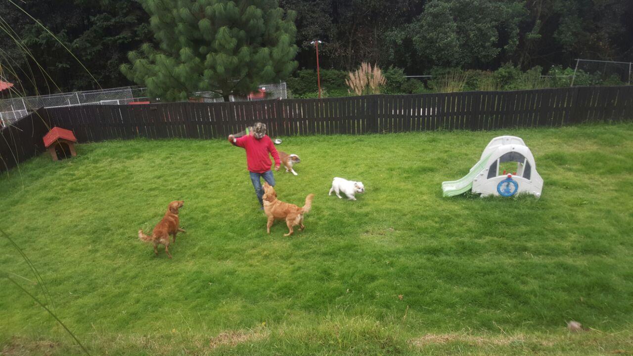 Hotel para perros Doggypark