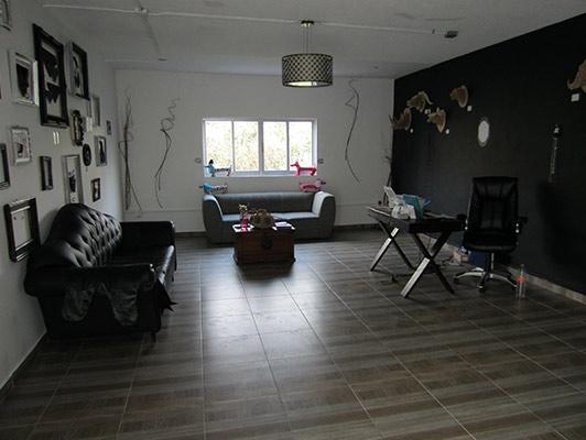 Hotel para perros Petplay