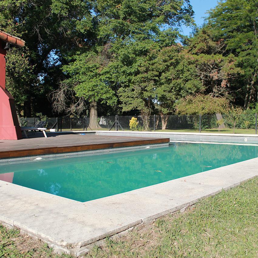 Foto de PetVille