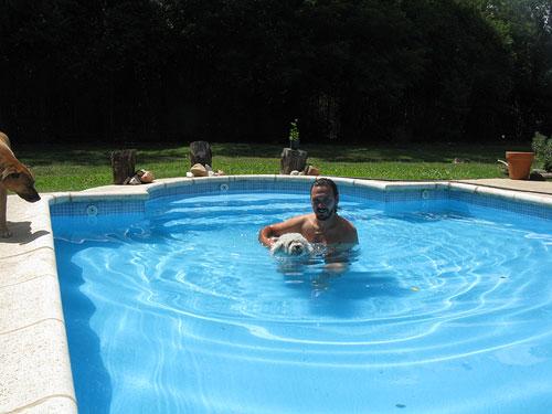 Hotel para perros ZAMA pensión canina