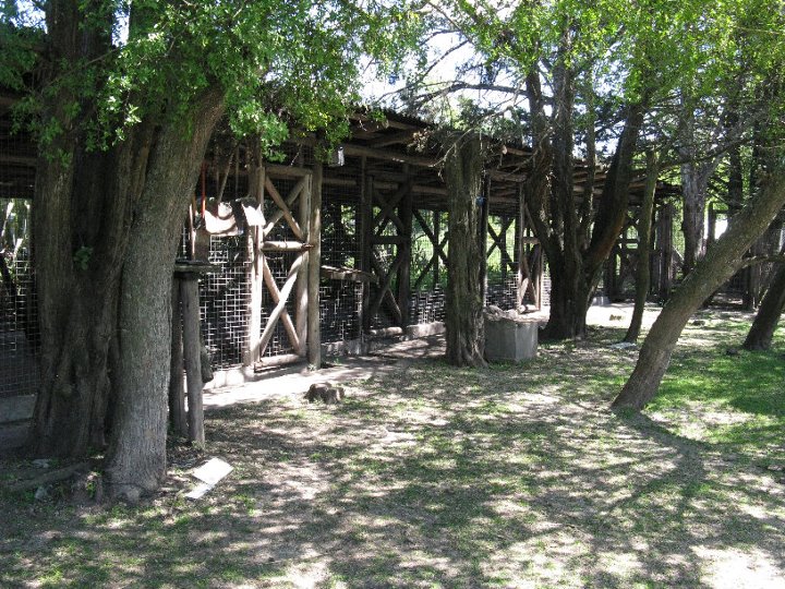 Hotel para perros y gatos La Rekova