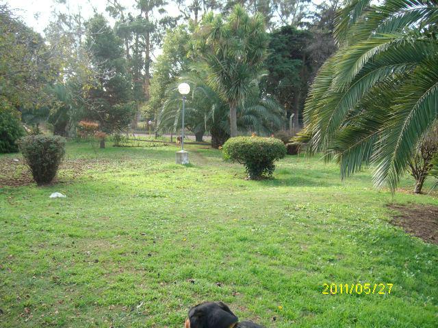 Hotel para perros El Paraíso