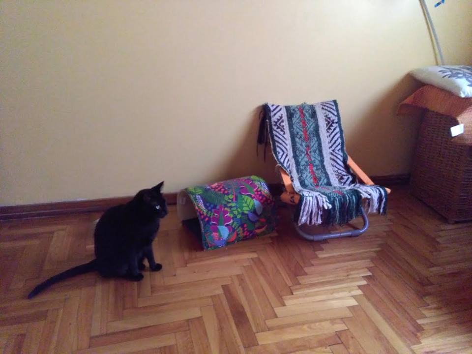Hotel para gatos Miou Guardería Felina