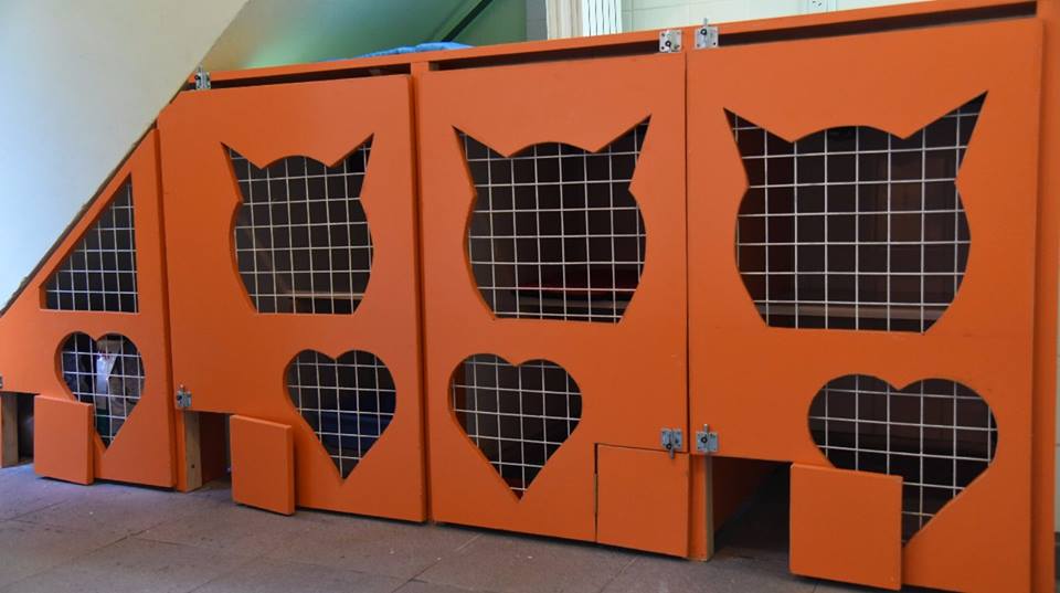 Hotel para gatos Espacio Gatos