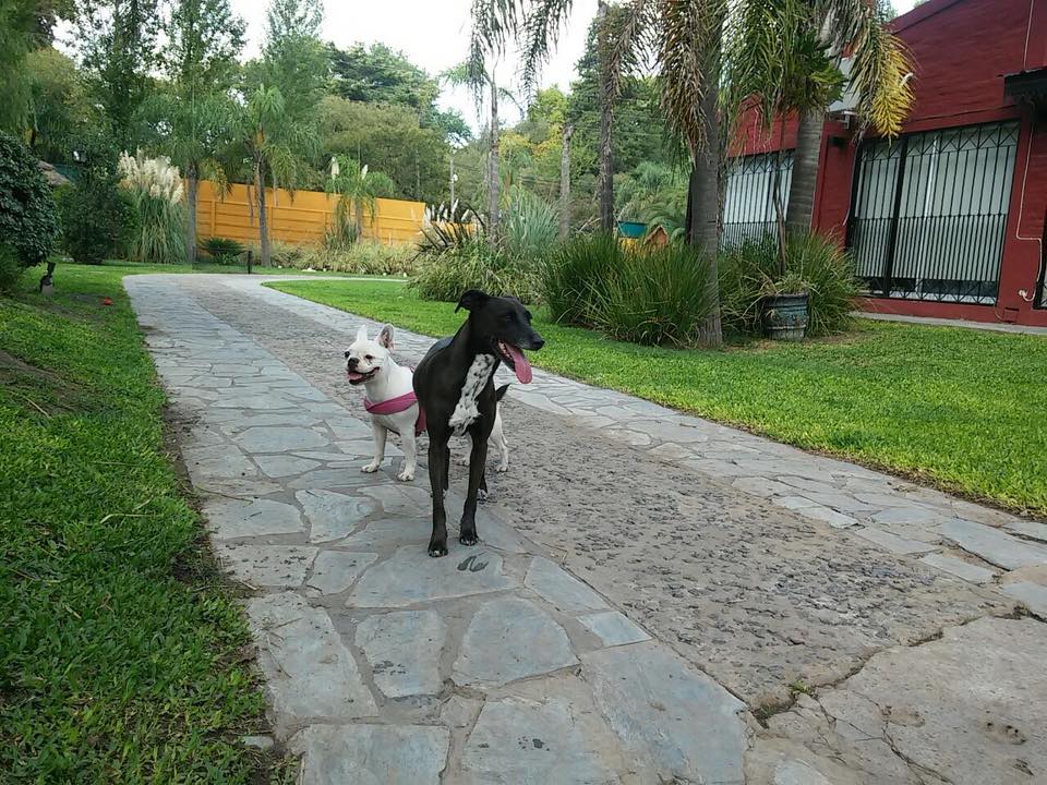 Foto de Campo Bianco