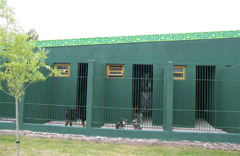 Hotel para perros y gatos Veterinaria Alberti