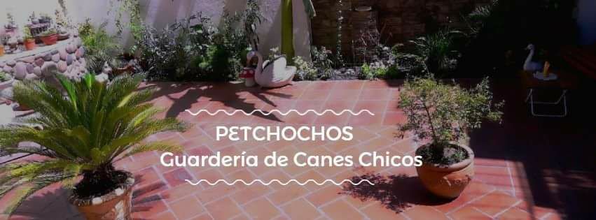 Hotel para perros Guardería Petchochos