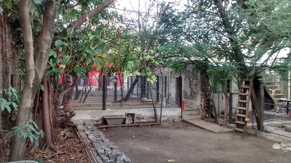 Hotel para perros Pensionado Canino Bamboo