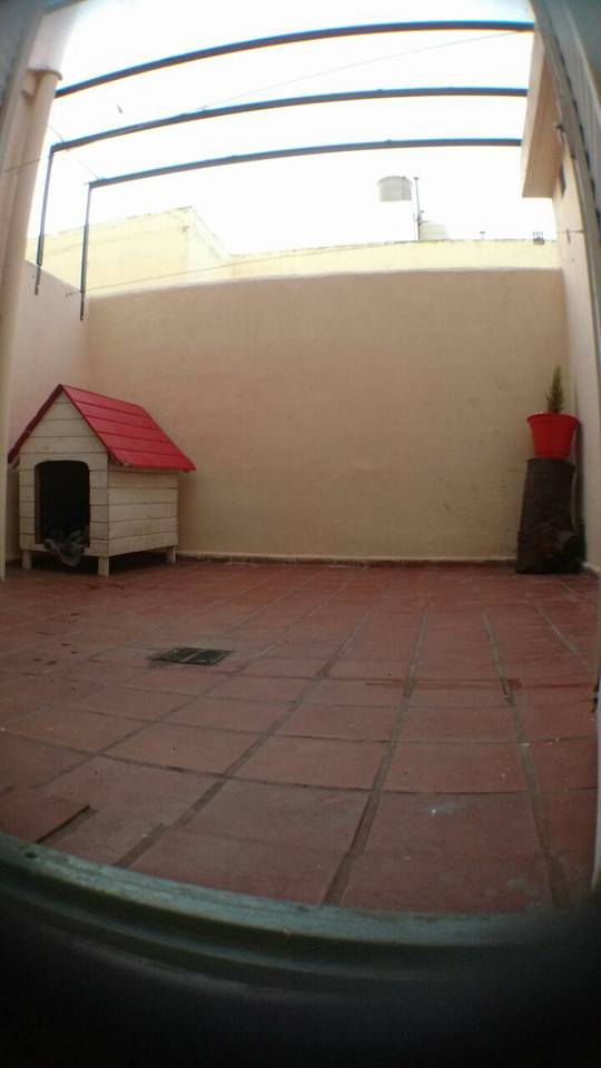 Hotel para perros y gatos Amigo Fiel